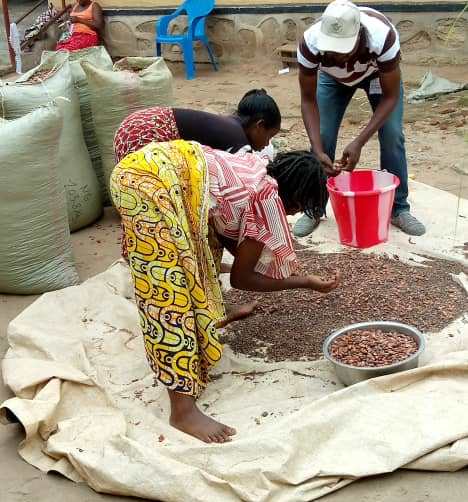 Les coopératives agricoles: un rôle majeur dans la réduction de la faim et de la pauvreté